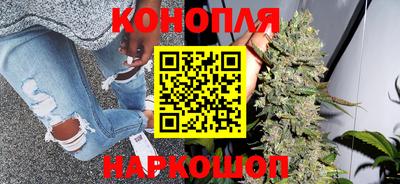сатива Донской