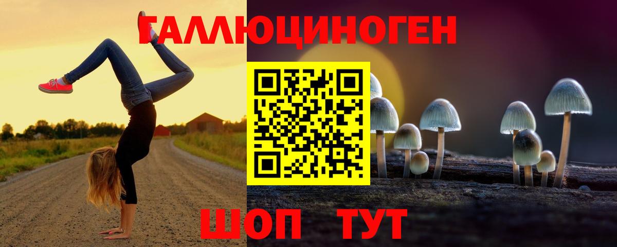 Лянтор  Псилоцибиновые грибы Psilocybine cubensis  Вход с VPN 